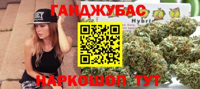 гидра Кингисепп