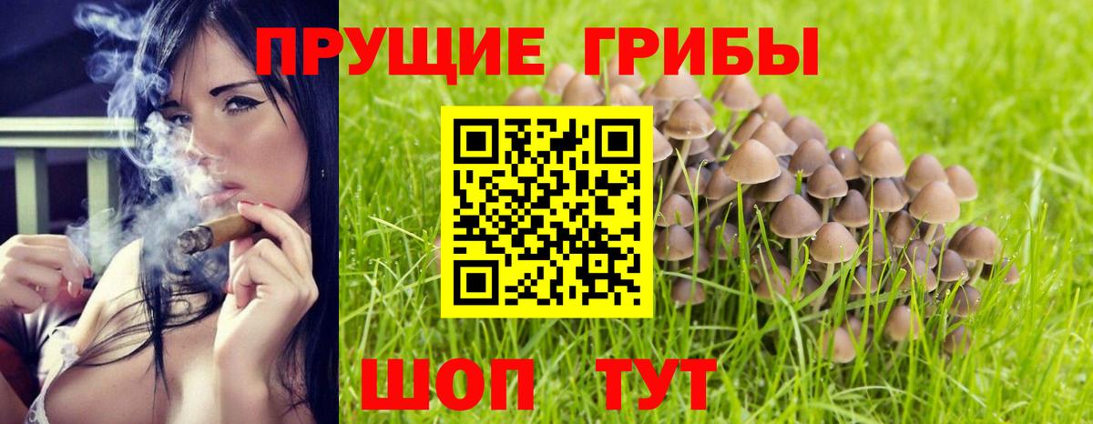 Псилоцибиновые грибы прущие грибы Электрогорск