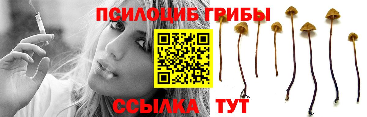 Псилоцибиновые грибы Magic Shrooms  Вход с VPN  где купить наркоту  Электрогорск 